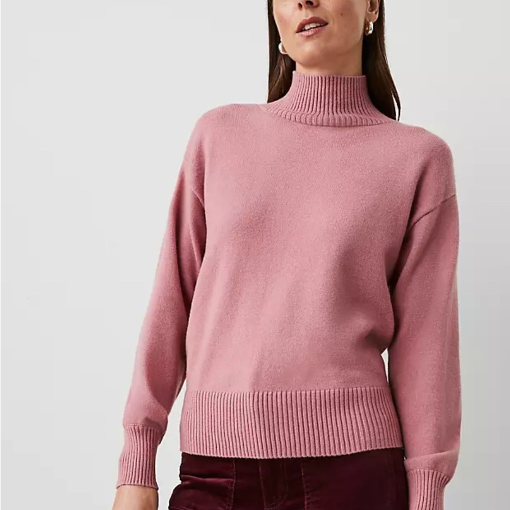 Ann Taylor Turtleneck Wedge Sweater